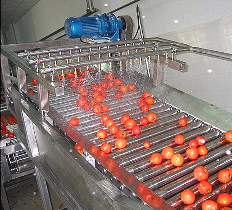 Thiết bị chế biến c&agrave; chua c&ocirc;ng nghiệp